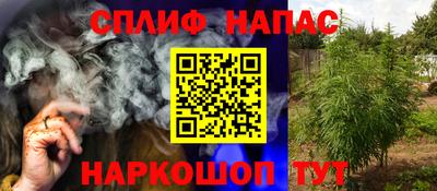 шишки Коммунар