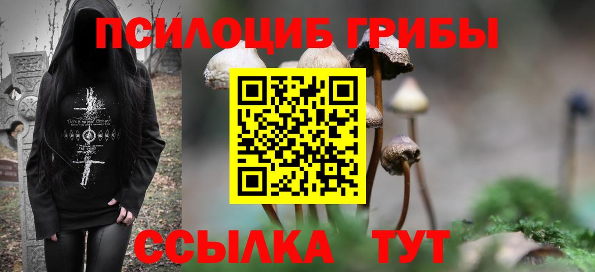 Галлюциногенные грибы Cubensis  Вход с VPN  Шахты 